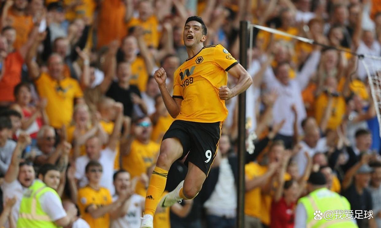 关于狼队主场比击败埃弗顿，豪取连胜的信息