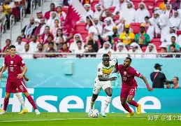 热那亚其他乎成药丸，球队连胜表现超出期望的简单介绍