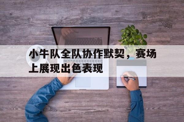 小牛队全队协作默契，赛场上展现出色表现的简单介绍
